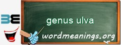 WordMeaning blackboard for genus ulva